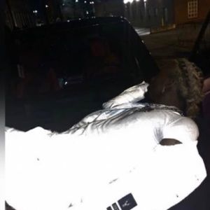 Meet your Posher, Samuel